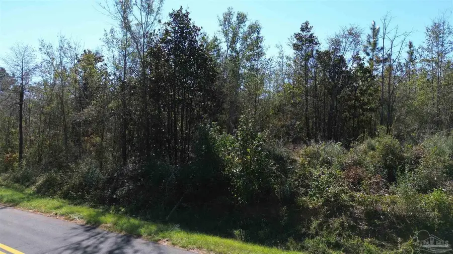 Lot 7a Pineview Church Rd, Jay, FL 32565 - #2