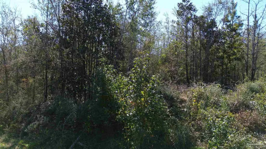Lot 7a Pineview Church Rd, Jay, FL 32565 - #3