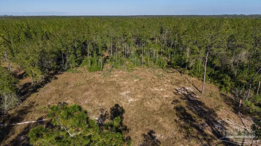 Lot 28 Naturewalk Dr, North Pace, FL 32571 - #2