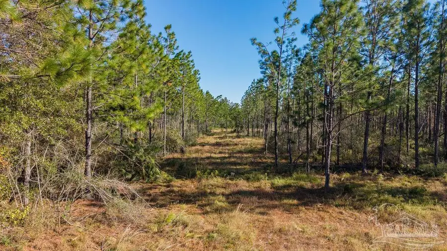 Lot 28 Naturewalk Dr, North Pace, FL 32571 - #3