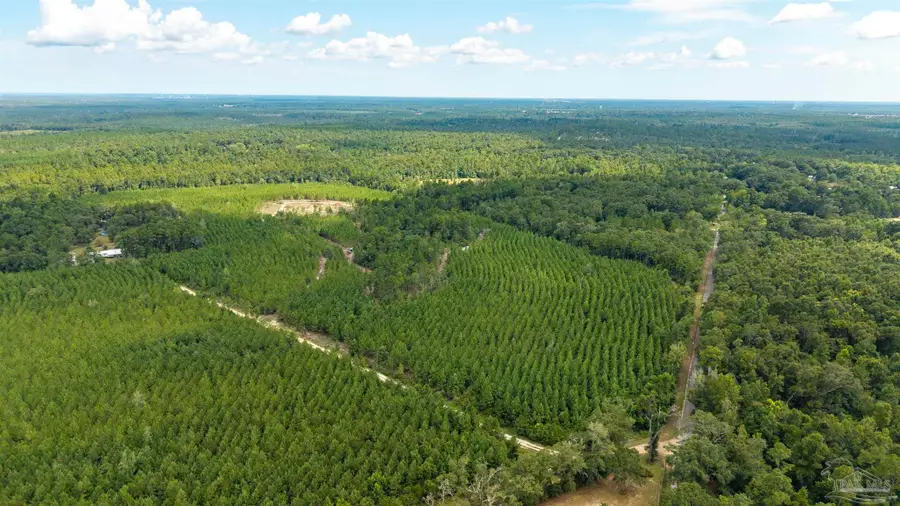 TBD Richardson Rd, Molino, FL 32577 - #2