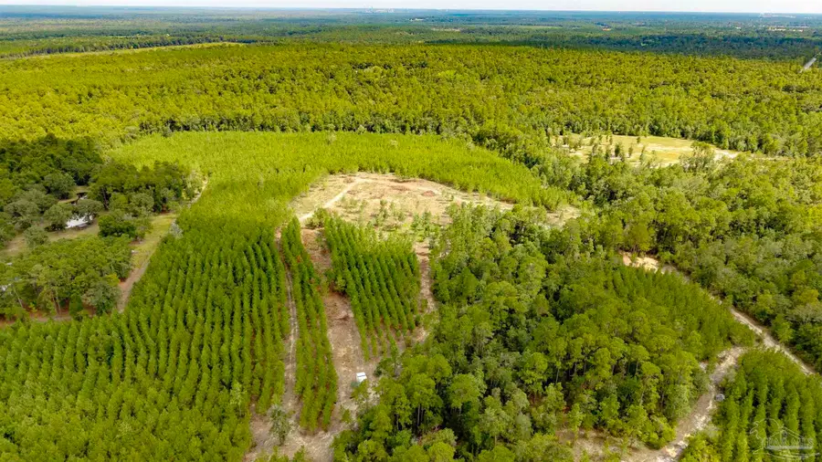 TBD Richardson Rd, Molino, FL 32577 - #3