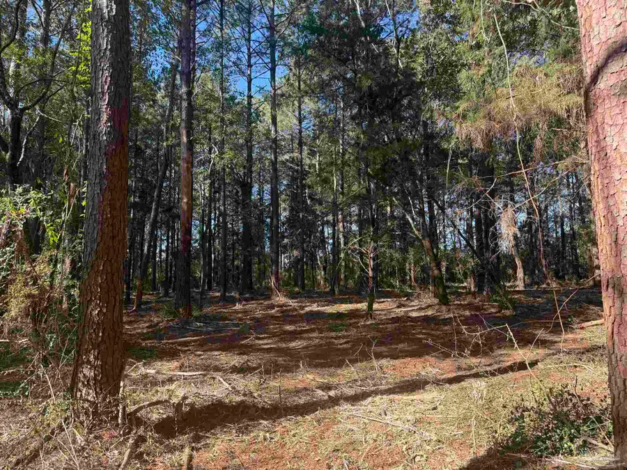 Lot 9 Rockaway Creek Rd, Atmore, AL 36502 - #3
