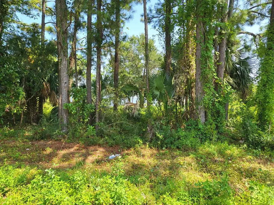 2412 Hwy 98, Carrabelle, FL 32322 - Image #2