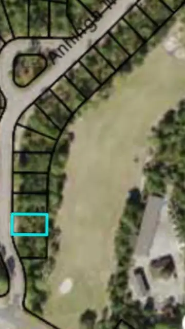 110 Anhinga Trl, Carrabelle, FL 32322 - Image #2