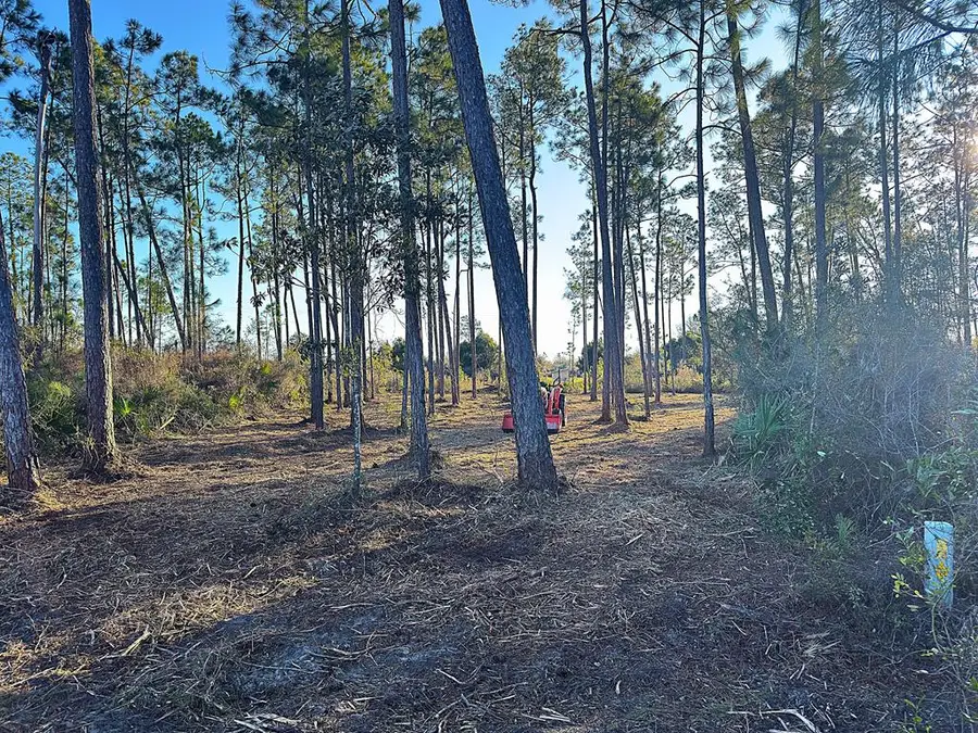 Lot 15 Trey's Ln, Wewahitchka, FL 32465 - Image #2