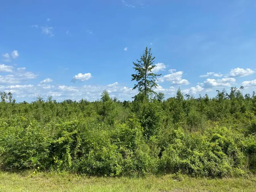 Lot 8 Idlewood Dr, Wewahitchka, FL 32465 - Image #2