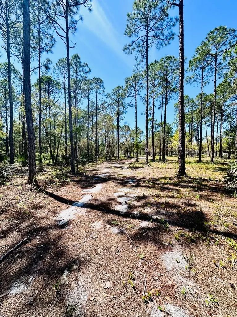 321 Baywood Dr, Carrabelle, FL 32322 - Image #1