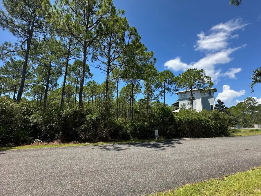 168 Lightning Bug Ln, Saint Teresa, FL 32358 - Image #2