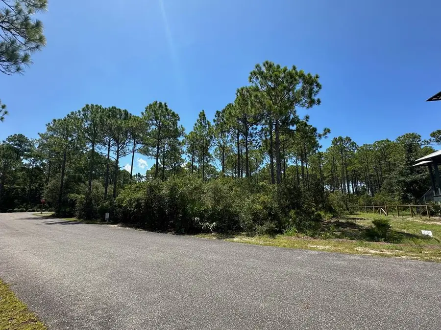 168 Lightning Bug Ln, Saint Teresa, FL 32358 - Image #3