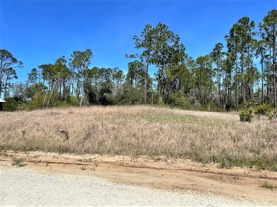 175 Beach St, Port Saint Joe, FL 32456 - Image #2