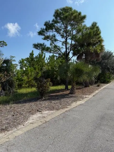 209 Bay Hibiscus Dr, Cape San Blas, FL 32456 - Image #2
