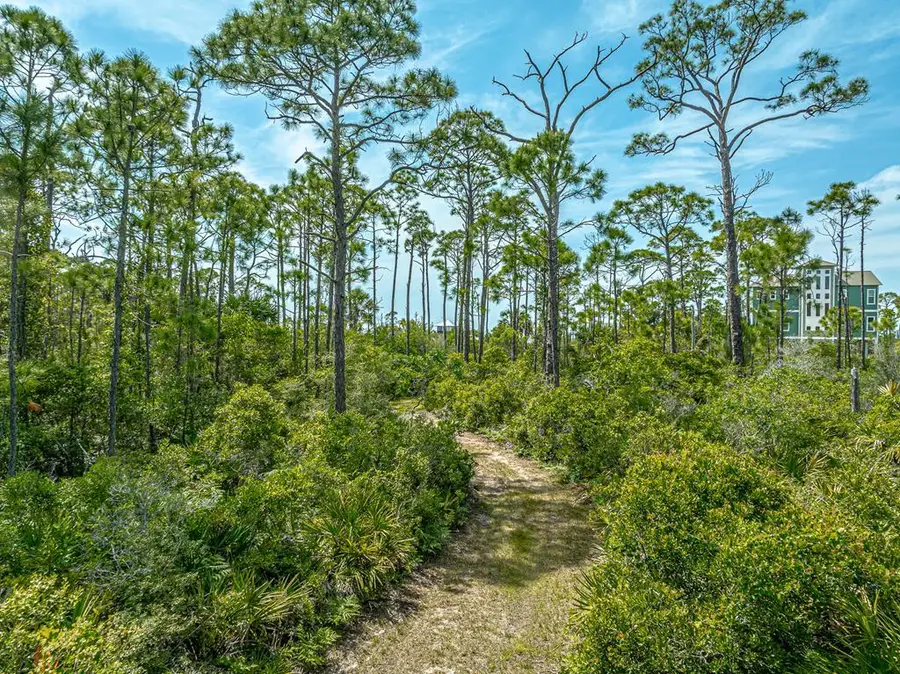 1831 Bayview Dr, Saint George Island, FL 32328 - #2