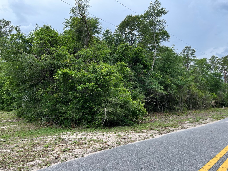 142 Indiana St, Carrabelle, FL 32322 - Image #3