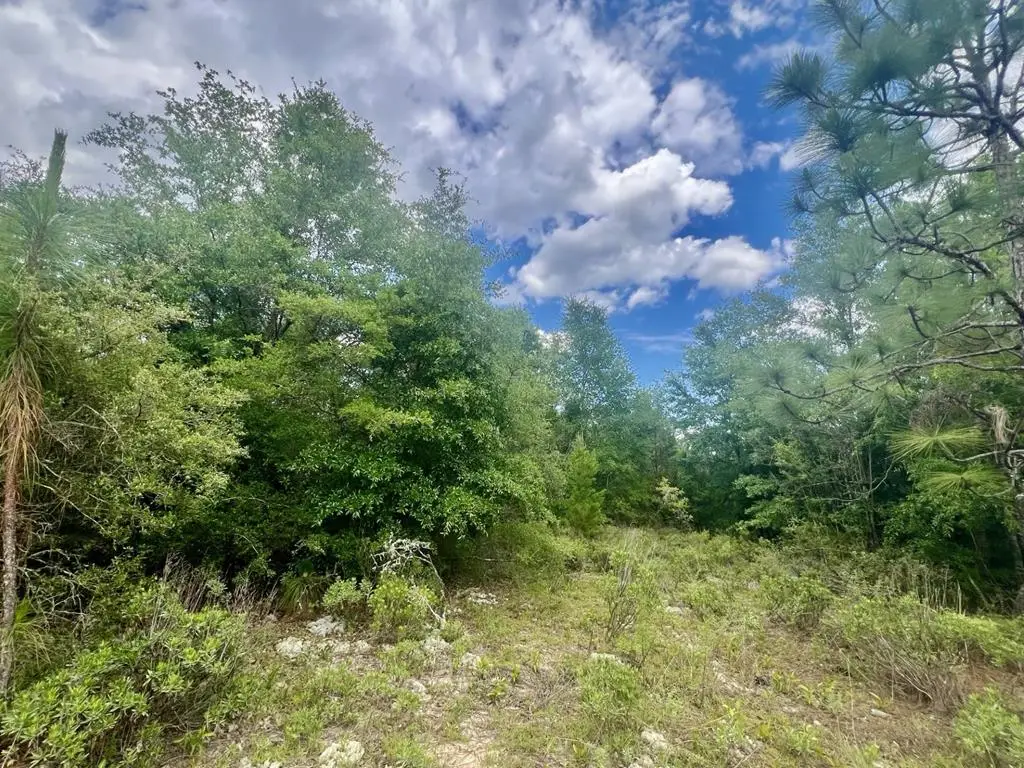 LOT 96 Ottawa Ct, Alford, FL 32420 - Image #1