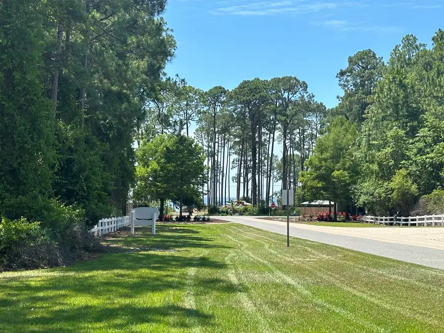 102 Royal Tern Way, Carrabelle, FL 32322 - #3