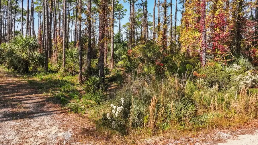 10 Eventide Dr, Cape San Blas, FL 32456 - #3