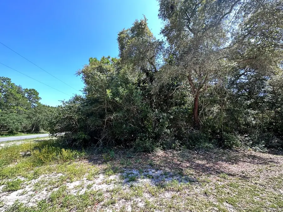 2515 Oleander Ter, Lanark Village, FL 32323 - Image #3