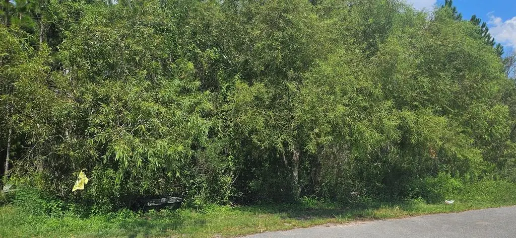 905 Ne 6th St, Carrabelle, FL 32322 - Image #1