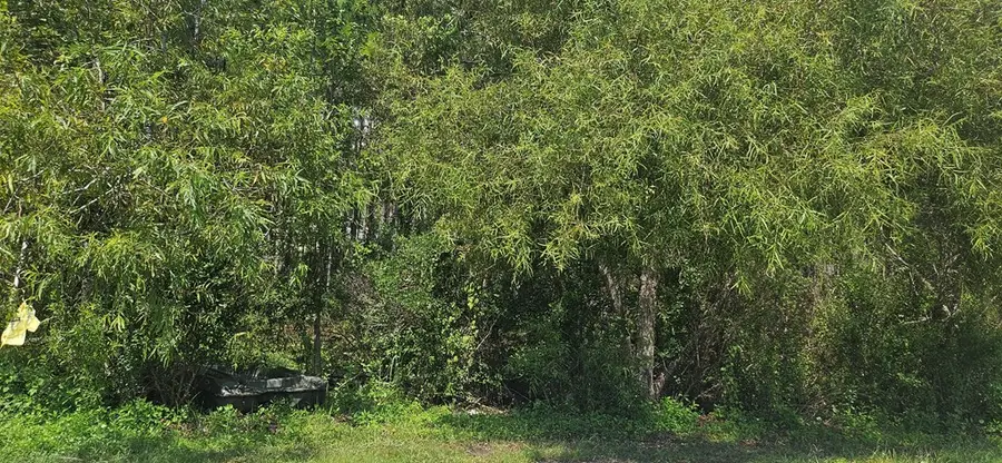 905 Ne 6th St, Carrabelle, FL 32322 - Image #3