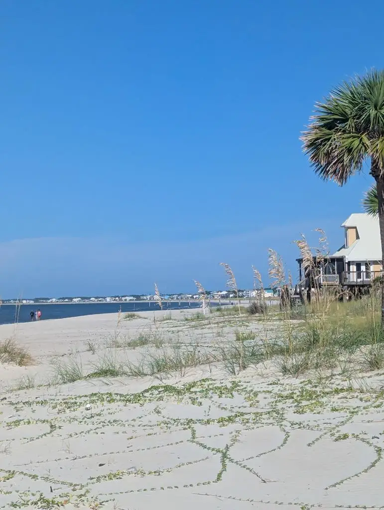 178 Redbird St, Port Saint Joe, FL 32456 - Image #3