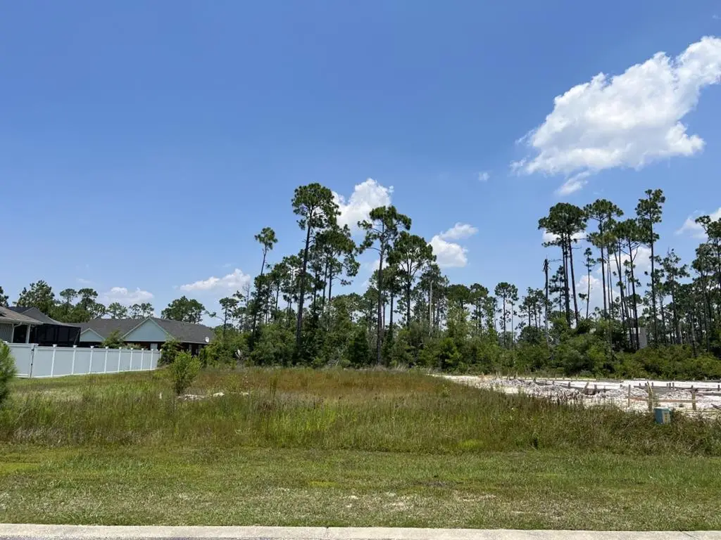 119 White Blossom Trl, Port Saint Joe, FL 32456 - #1