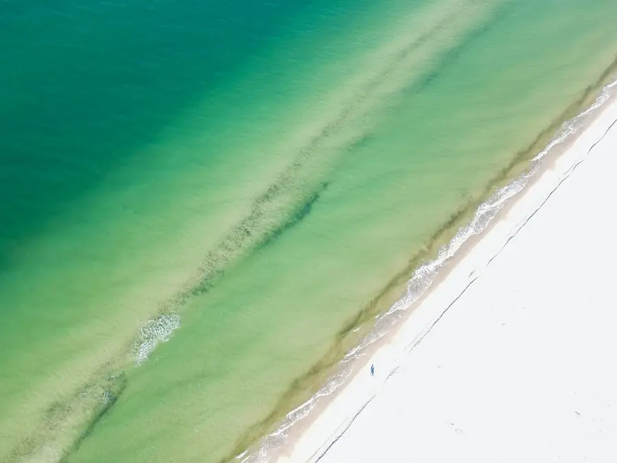 Lot 5 Haven Rd, Cape San Blas, FL 32456 - Image #2