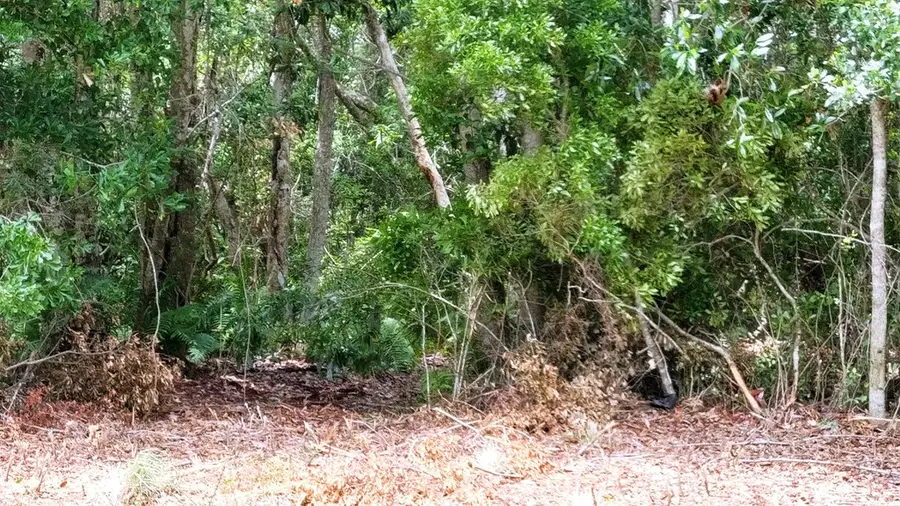 116 Royal Tern Way, Carrabelle, FL 32322 - #2