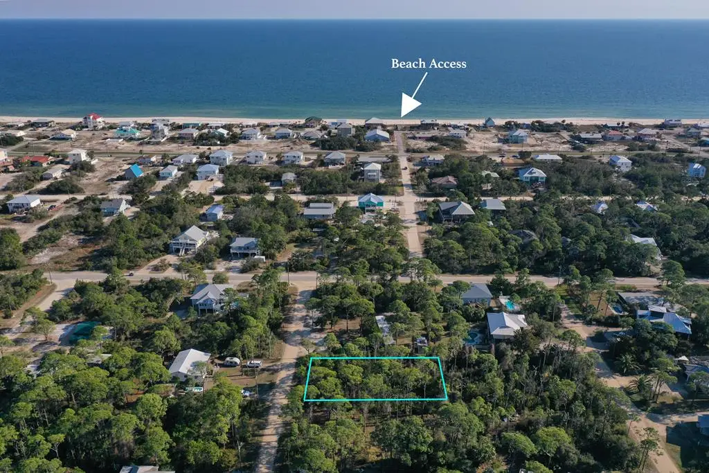 308 Howell St, Saint George Island, FL 32328 - Image #1
