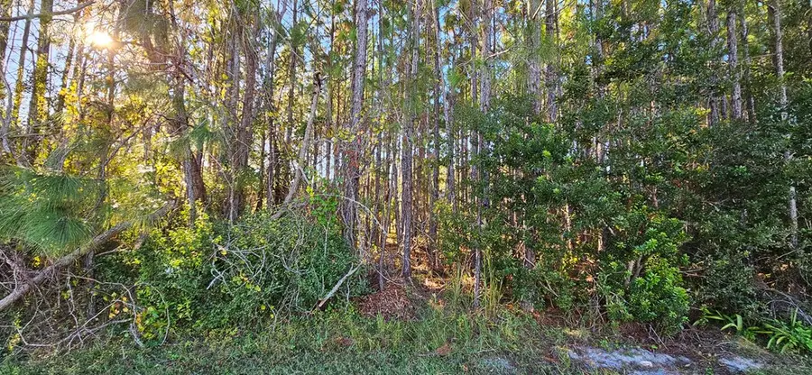 901 Ne 6th St, Carrabelle, FL 32322 - Image #2