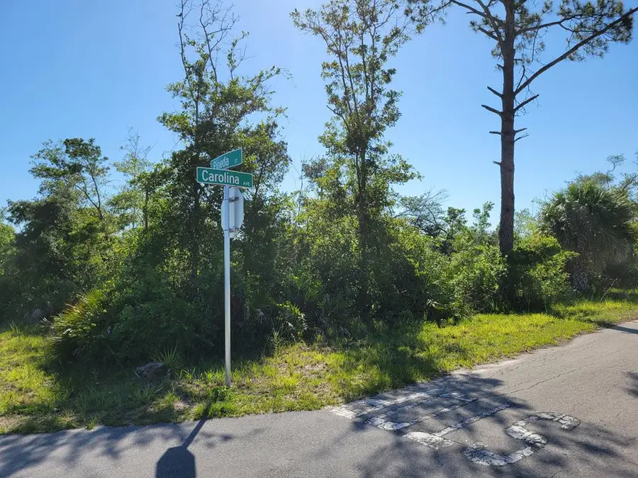 Lot 10 Pineda St #Lot 10, Port Saint Joe, FL 32456 - #2