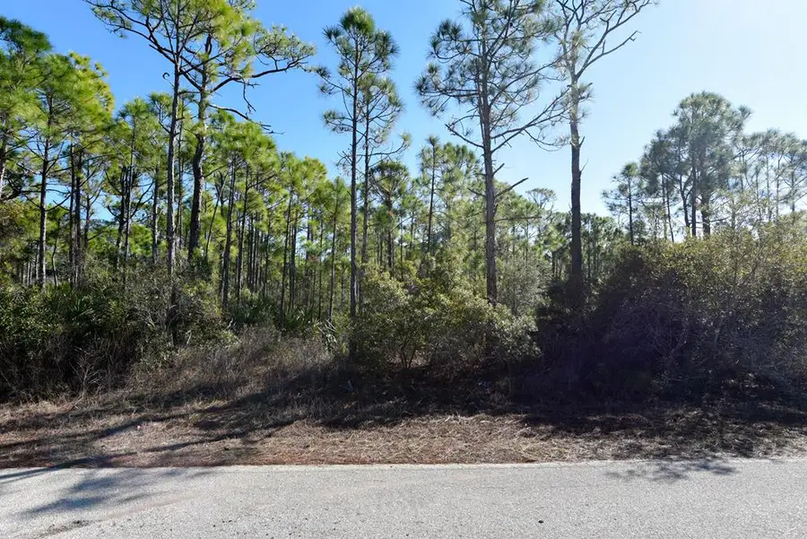 2005 Turpentine Trl, Saint George Island, FL 32328 - #3