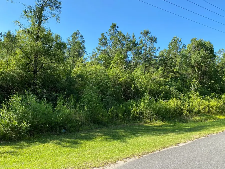 Lot 3 Mitchel Rd, Wewahitchka, FL 32465 - Image #2