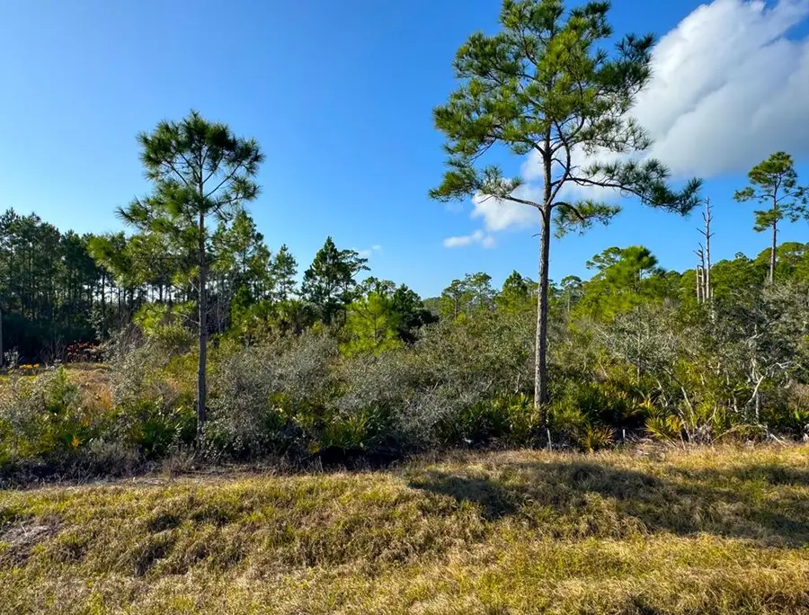 Lot 10 Sea Mist Dr, Port Saint Joe, FL 32456 - #2