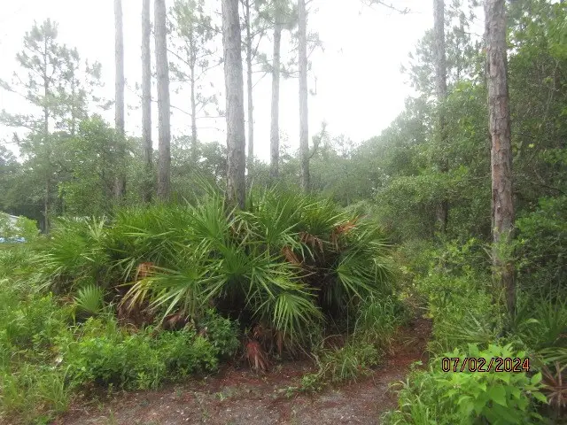 1512 Jacobs Way, Carrabelle, FL 32322 - Image #3