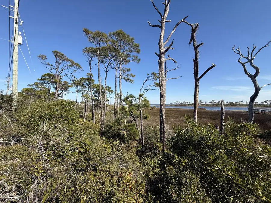 TBD Cape San Blas Rd, Cape San Blas, FL 32456 - Image #3