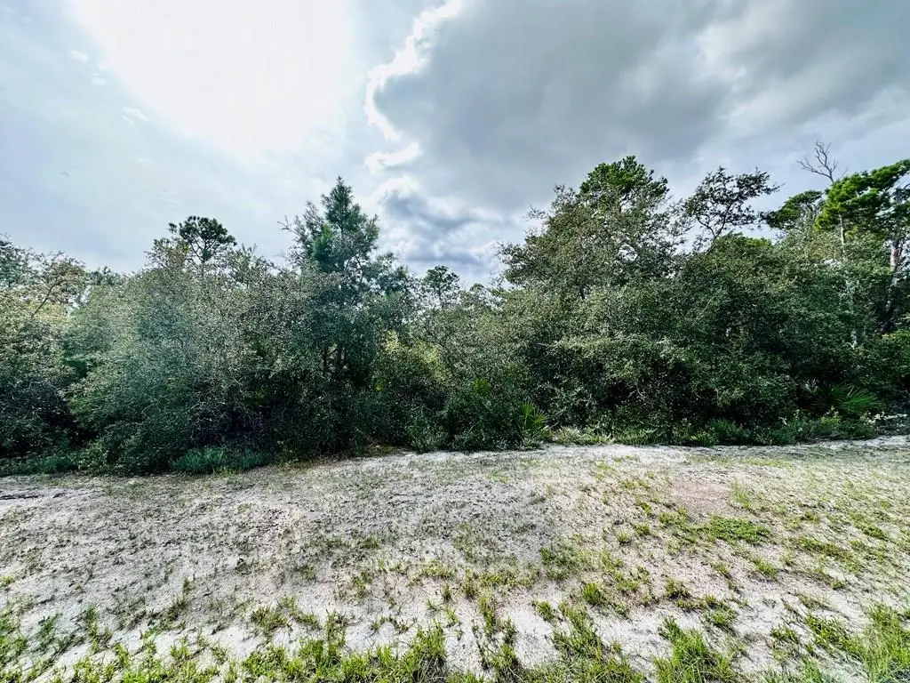 158 Singleleaf Rd, Eastpoint, FL 32328 - Image #1