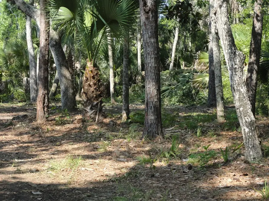 114 Melanie Ln, Apalachicola, FL 32320 - Image #3