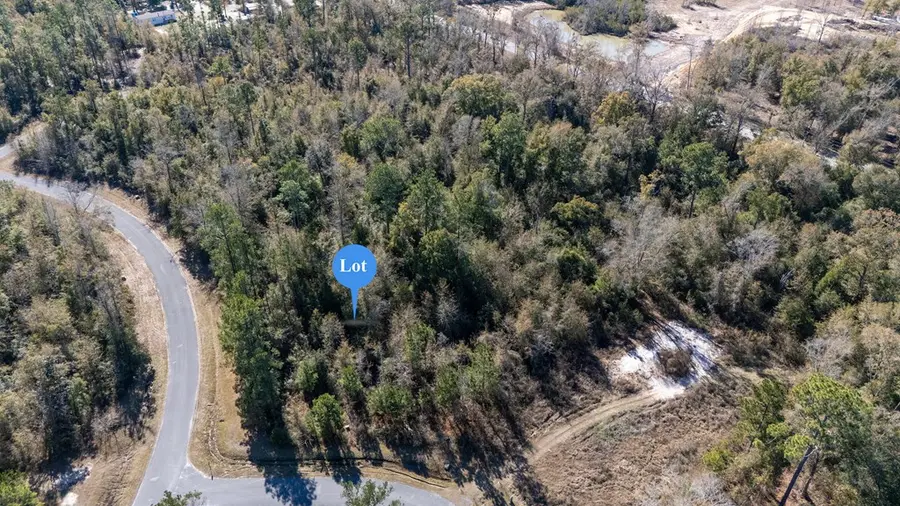 0 Seven Springs Dr, Wewahitchka, FL 32465 - Image #3