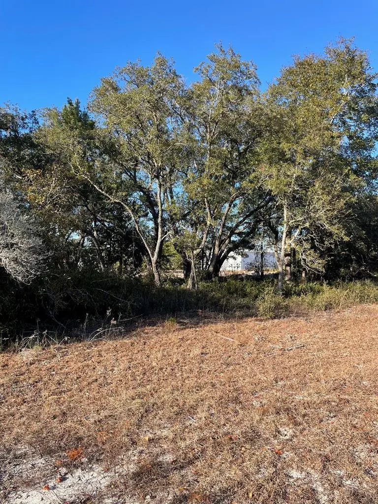 2245 Oak St, Lanark Village, FL 32322 - Image #2