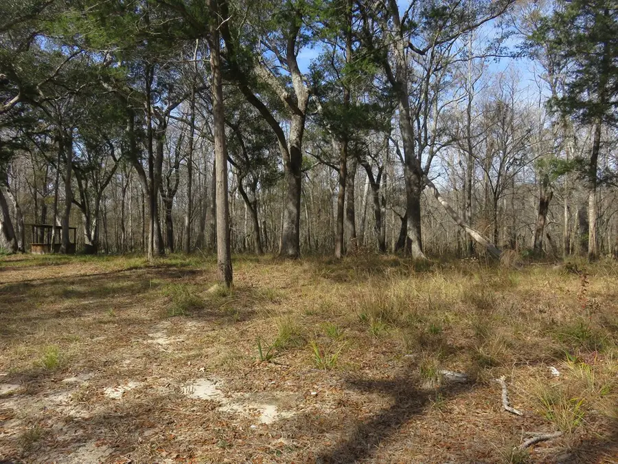 Lot 5 Big Cedar Rd, Ponce De Leon, FL 32455 - Image #2