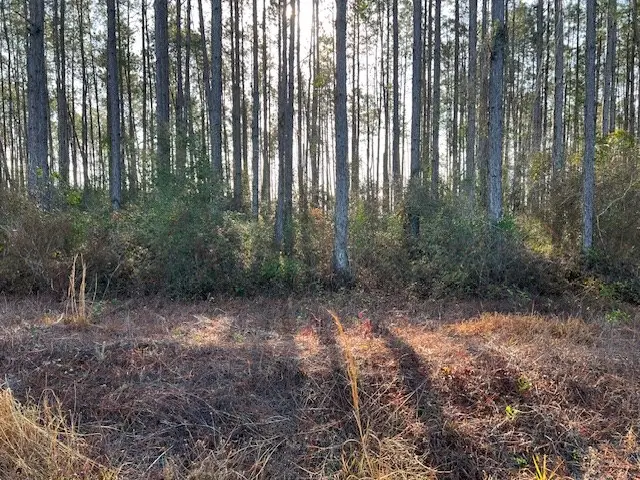 12 Douglas Landing Rd, Wewahitchka, FL 32465 - Image #3