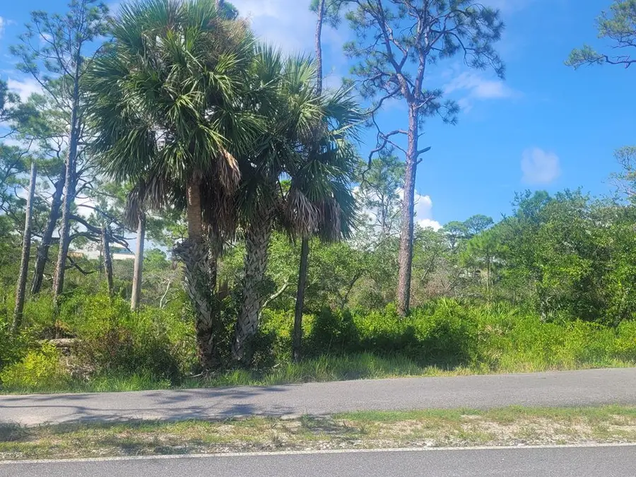 1240 Sea Pines Pl, Saint George Island, FL 32328 - Image #2