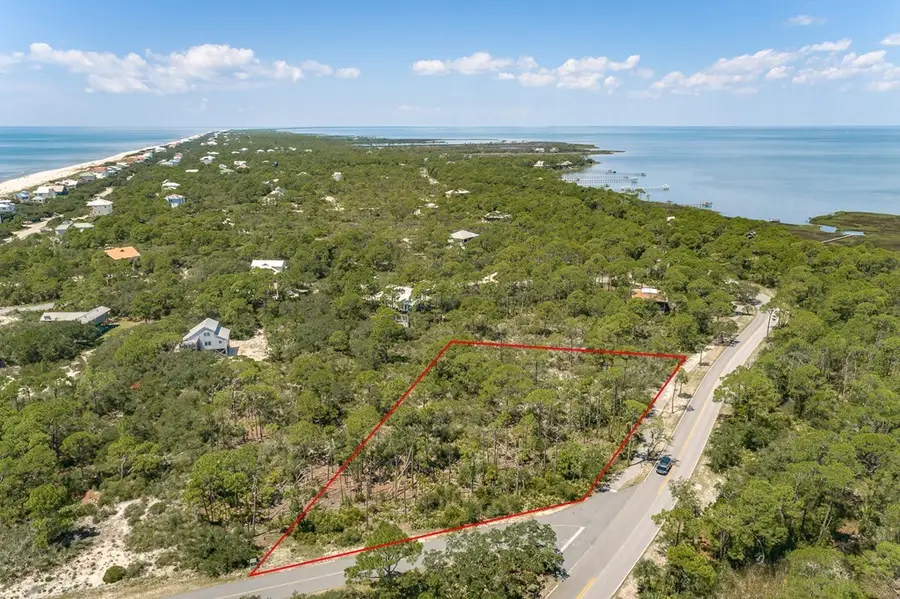 1240 Sea Pines Pl, Saint George Island, FL 32328 - Image #3