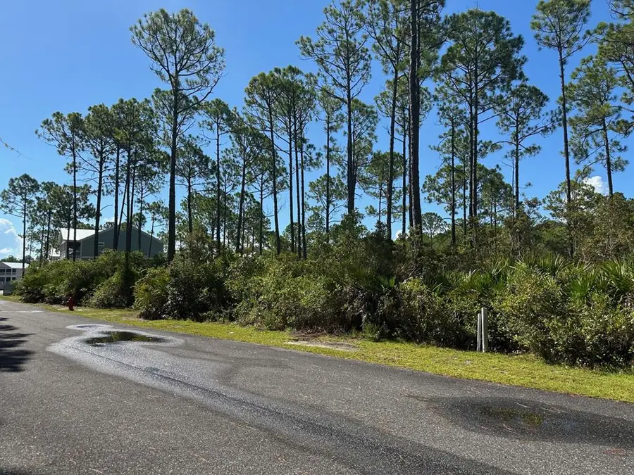 129 Winding Trail Way, Saint Teresa, FL 32358 - Image #2