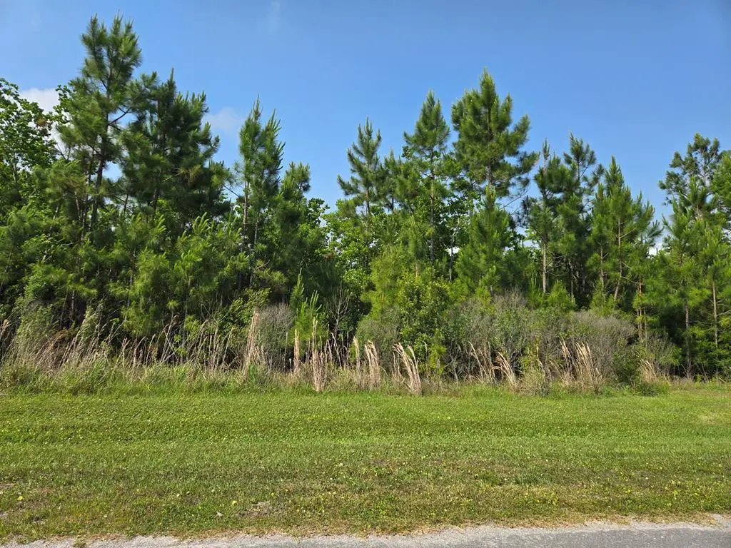 Lot 68 Wide Water Cir, Wewahitchka, FL 32465 - Image #1