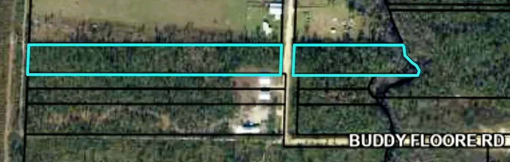 Lot 42 Buddy Floore Rd, Wewahitchka, FL 32465 - Image #1