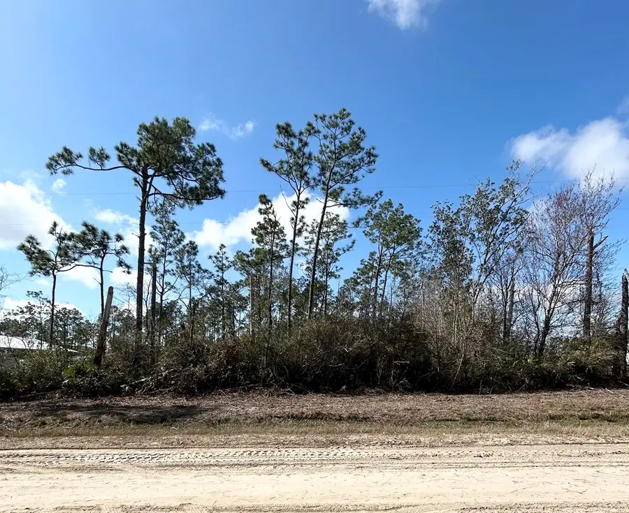 Lot 42 Buddy Floore Rd, Wewahitchka, FL 32465 - Image #2