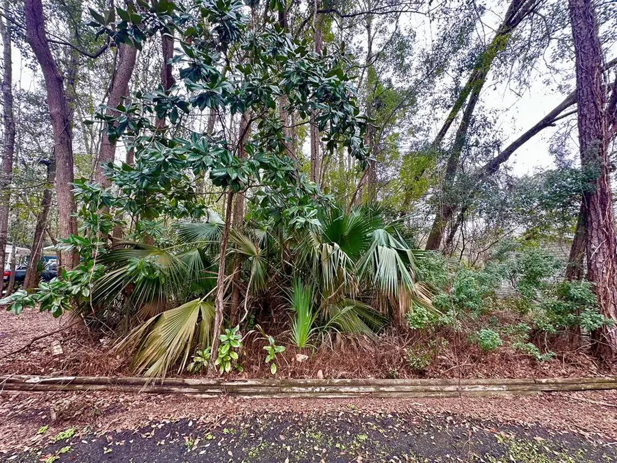 18 Adams St, Apalachicola, FL 32320 - Image #3