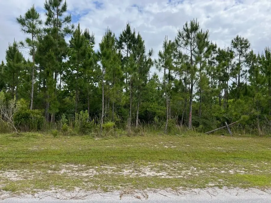 103 Torrey Pine Trl, Wewahitchka, FL 32465 - Image #2